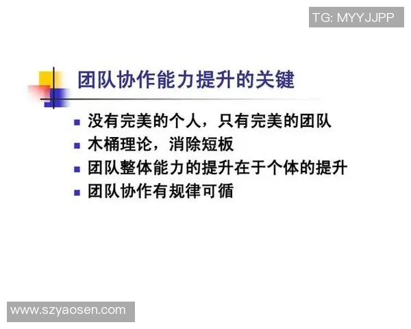 西安羽毛球队在世界锦标赛中的团队协作展现出色表现与战术配合分析