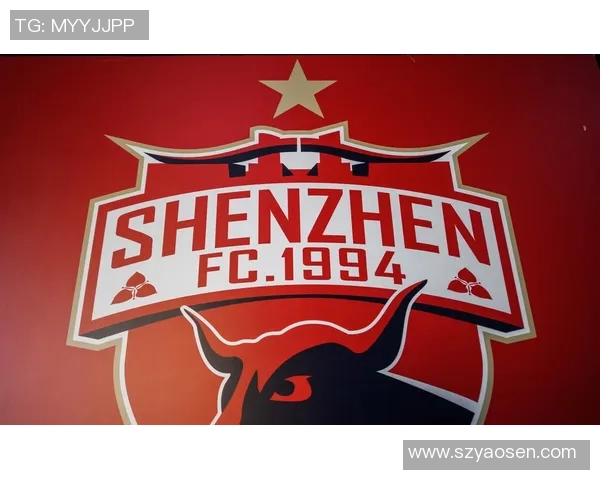 深圳乒乓球队选拔赛特别报道：从艰辛历程到辉煌突破的精彩旅程